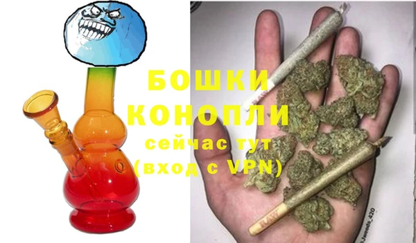 дживик Пересвет