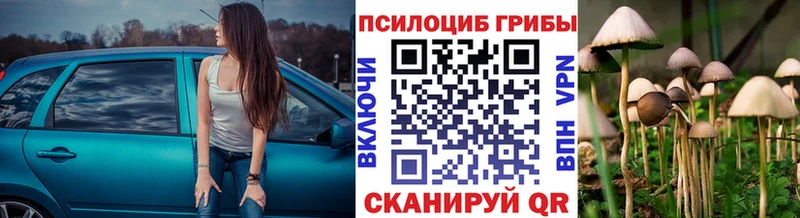 гидра ТОР  купить закладку  Липецк  Галлюциногенные грибы Psilocybe 