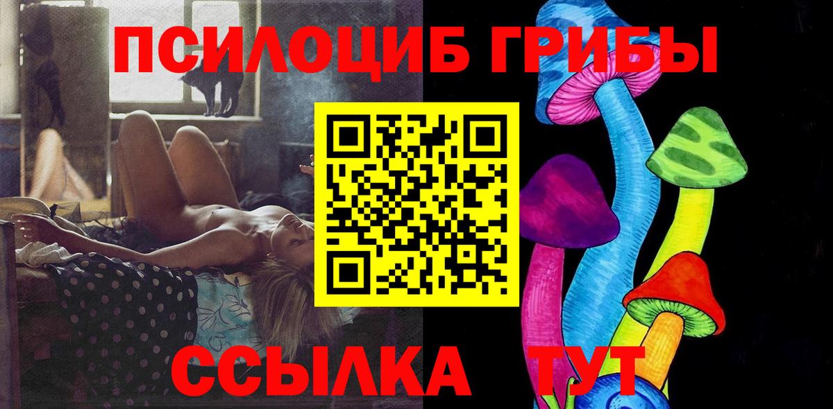 Липецк  Псилоцибиновые грибы Cubensis  Вход с VPN 