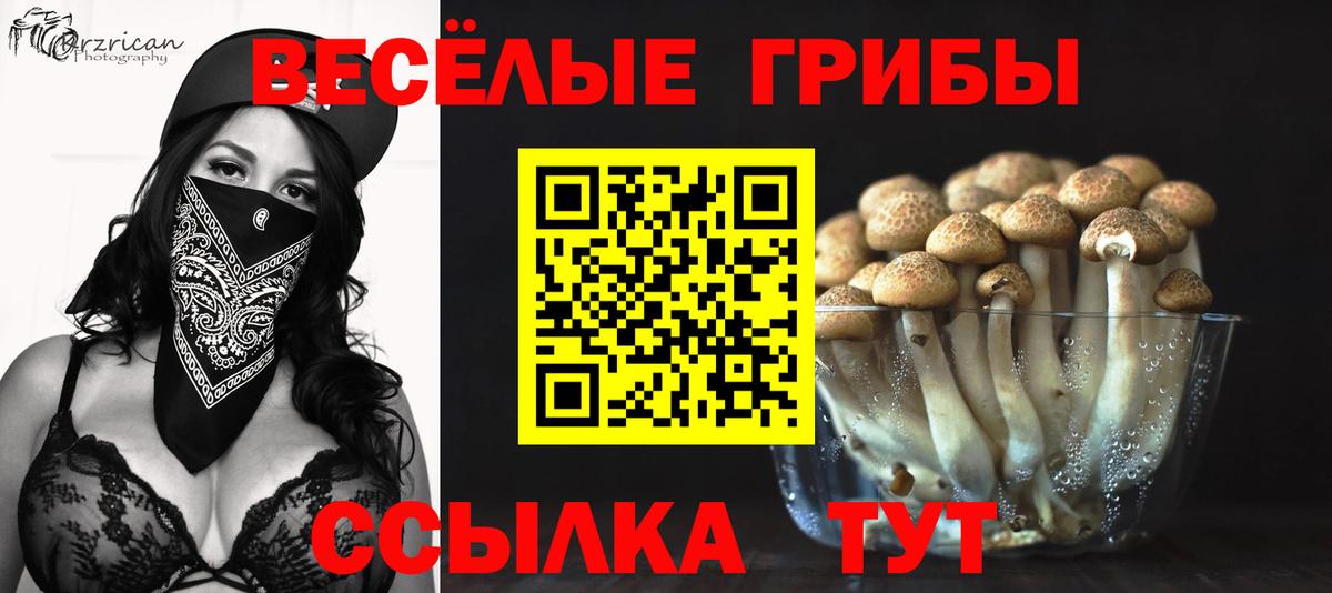 Псилоцибиновые грибы Psilocybe Липецк